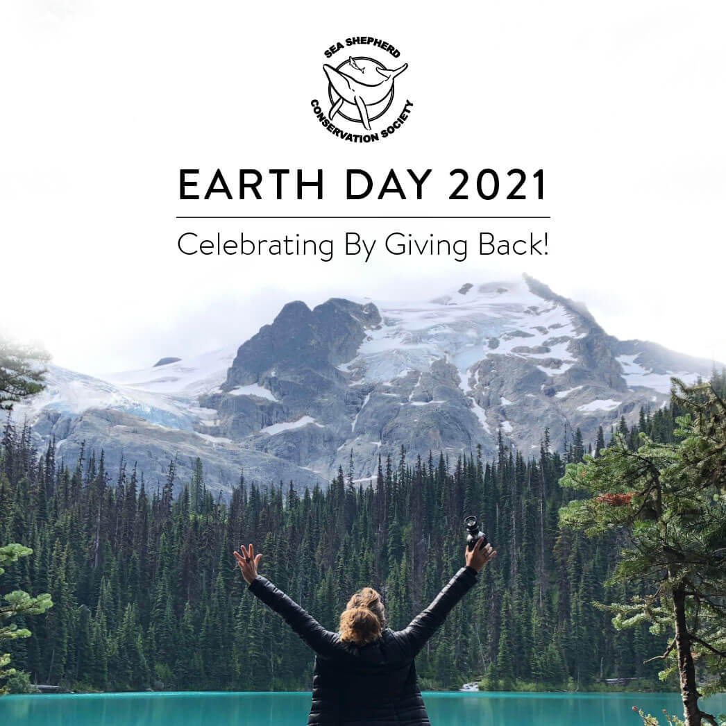 Celebrate Earth Day 2021 With MOBOT & Sea Shepherd