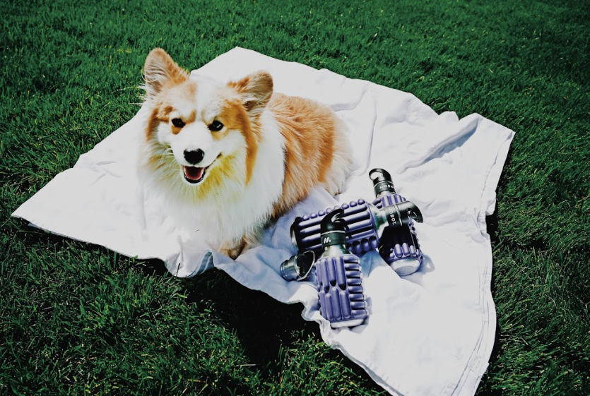 a doggy and mobot foam roller water bottles on the grass